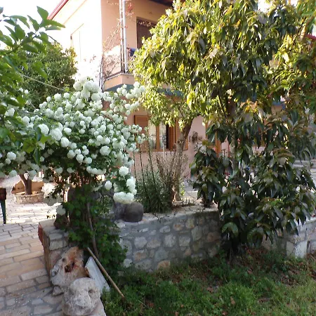 Apartman Traditional *